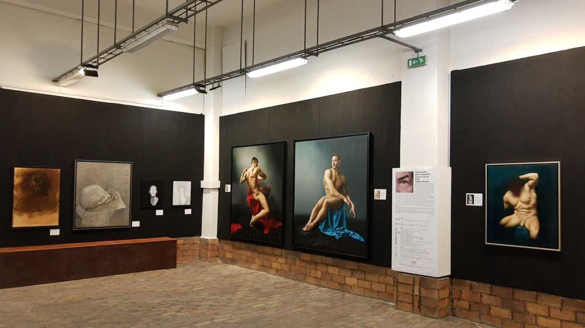 Ze zavřených galerií: Výstava Michelangelo v Lockdownu prodloužena